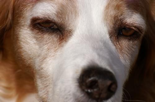 1 an que tu es partie