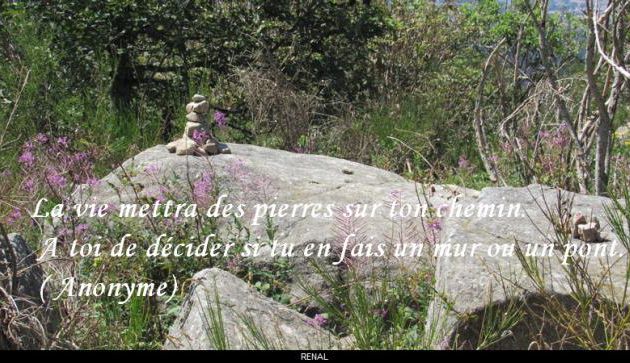 Les pierres sur ton chemin...