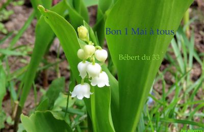 bon 1 er Mai