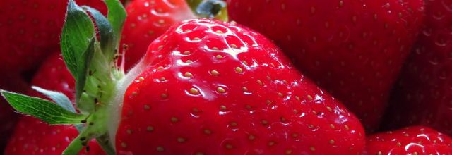Fruits de saison, un avant-goût 