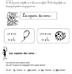 CP * EDL les déterminants ou les copains des noms