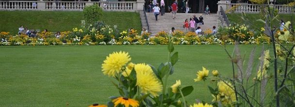 L'été au Jardin du Luxembourg