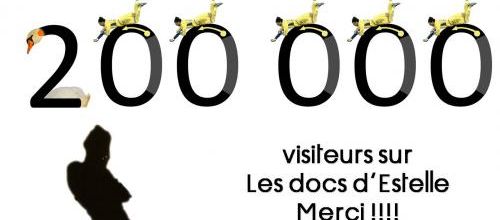 200 000 visites sur mon blog... Whaouuuuu !