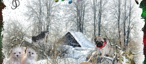 ANIMAUX SOUS LA NEIGE