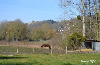 Parc naturel régional de la Vallée de Chevreuse : Le meilleur ami de l'homme 2