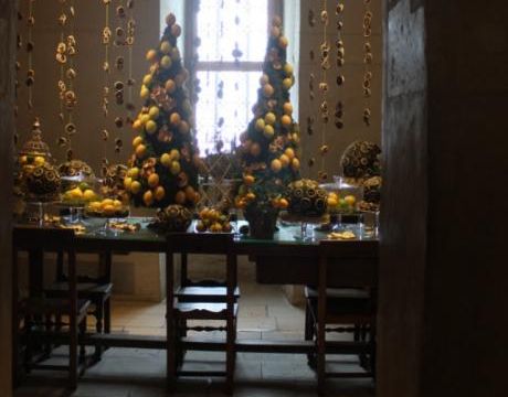 Noël jaune à Chenonceau (11)