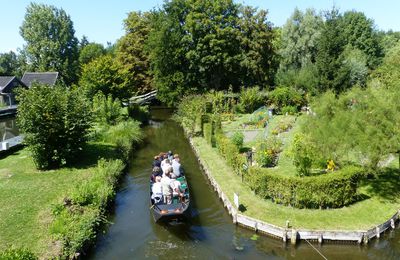 Une île des Hortillonnages
