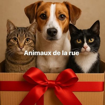 Les animaux ne sont pas des cadeaux de Noël.
