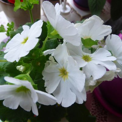 tres bon week end a vous tous