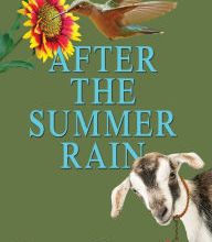 Ebooks and free downloads After the Summer Rain by Gerri Hill 9781642470710