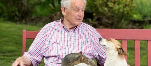 Vivre plus longtemps avec son animal de compagnie
