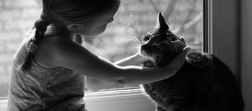 Douceur de vivre avec son chat