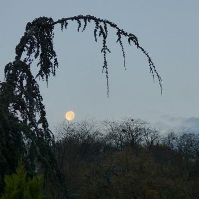 Ne laissez pas la lune entrer dans votre chambre la nuit !!