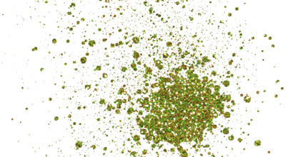 Ѽ Vegetation 