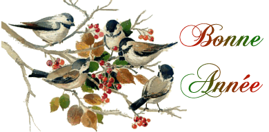 BONNE ANNEE