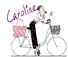 signatureanimee,velo