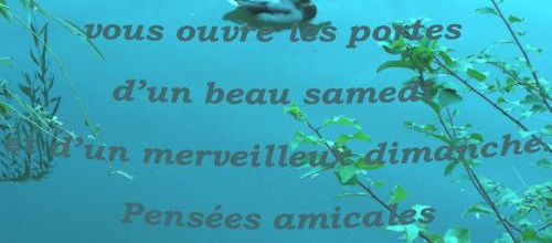 reflexion de la semaine   13/10/2013