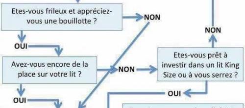 Chat c’est sur 