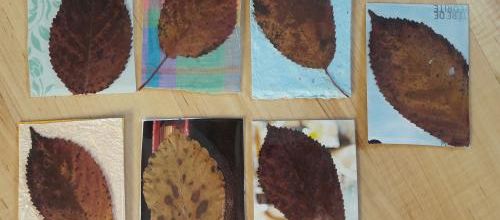 ATC feuilles d'automne
