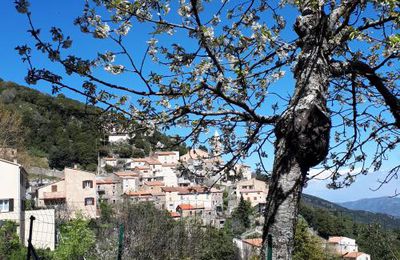 Quand on arrive en ville et le catenacciu