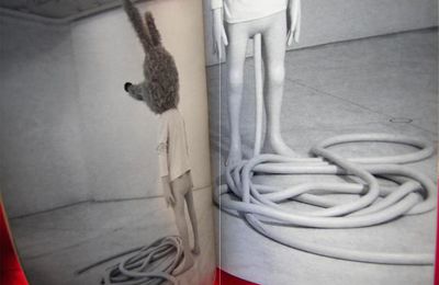 PAUL MCCARTHY BOOKS/LIVRES