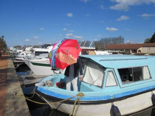 Parapluies en goguette... 