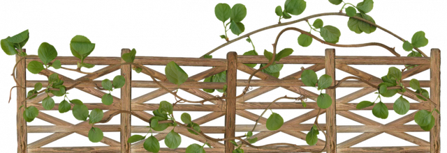 Ѽ Vegetation 