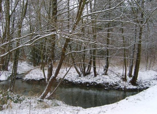 Nuit dhiver