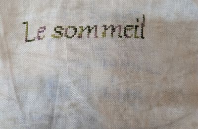 Un petit rapide (1)