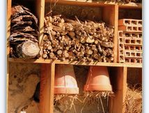  " Mes petits locataires "