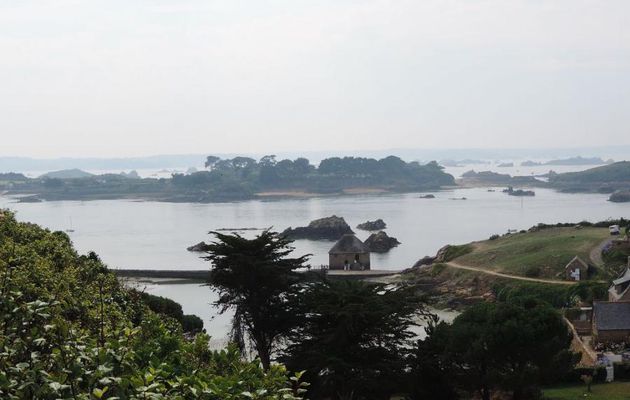 l'Ile de Bréhat - visite de l'Ile -4