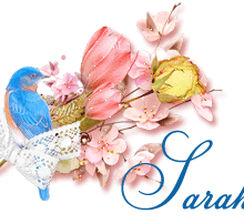signatureanimee,oiseau bleu
