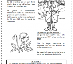 11 novembre