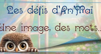 Image n°46...