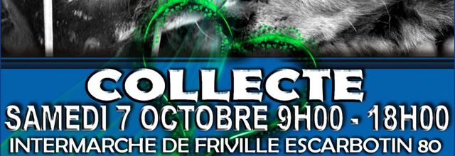 collecte 07 10 2017 