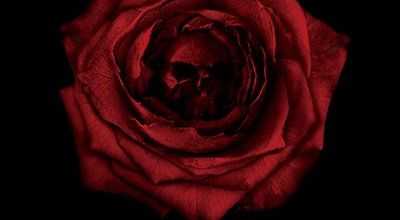 Covers de ROSE dévoilées !