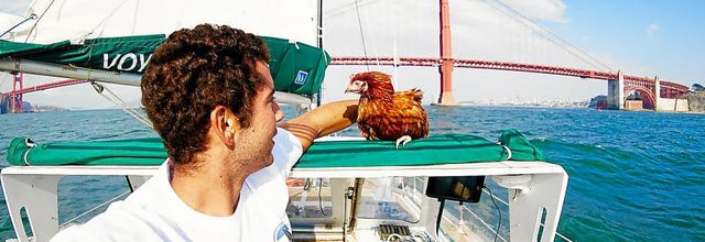 la cocotte  Marin 