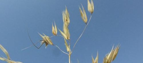 ...de saison...!