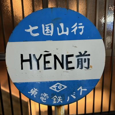 Hyene