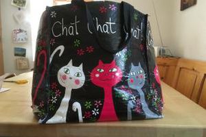 Le sac de la maîtresse