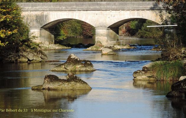 Reflets sur la Charente