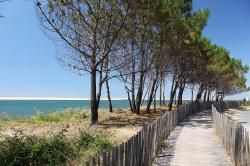 CR /MARCHE 10 /  LA TESTE - ARCACHON