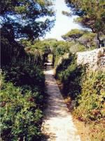 LE TOUR DU CAP D'ANTIBES (06)