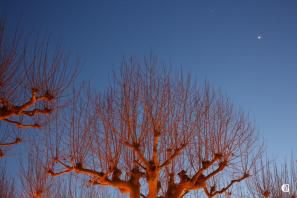 Vénus et Mars en hiver