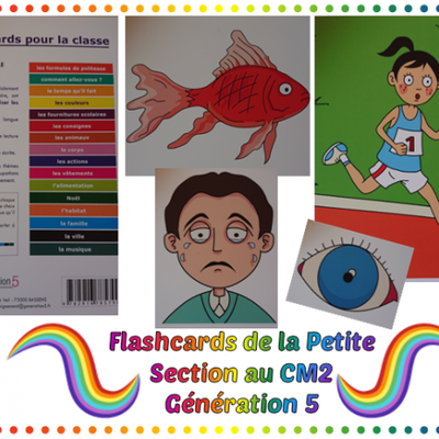 Flashcards pour la classe / Génération 5