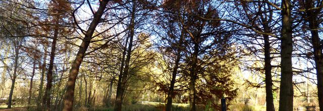 Notre parc dans ses habits d'hiver