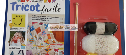 N° 1 Tricot facile avec Monsieur Madame - Test