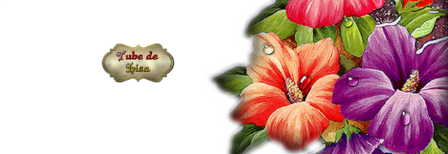 Joli cadre fleuri