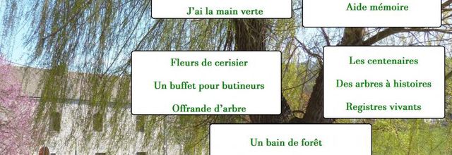 Le plaisir des haïkus