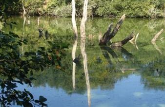 citation Reflets ...